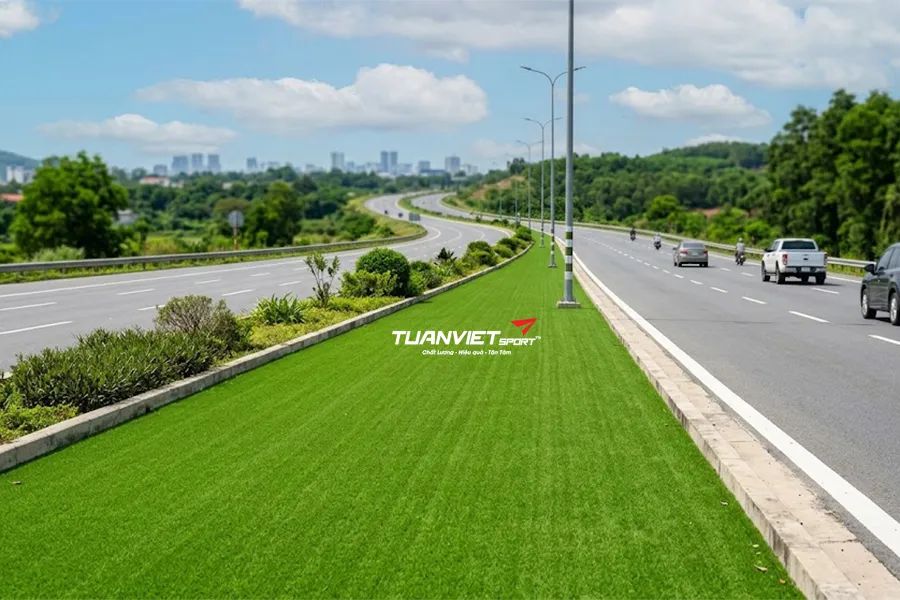 Tiêu chuẩn chiều cao cỏ nhân tạo cho dải phân cách đường bộ