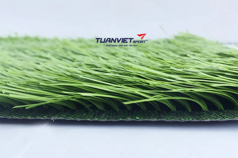 Cỏ nhân tạo bị héo do cửa kính phản chiếu nhiệt: nguyên nhân và cách khắc phục