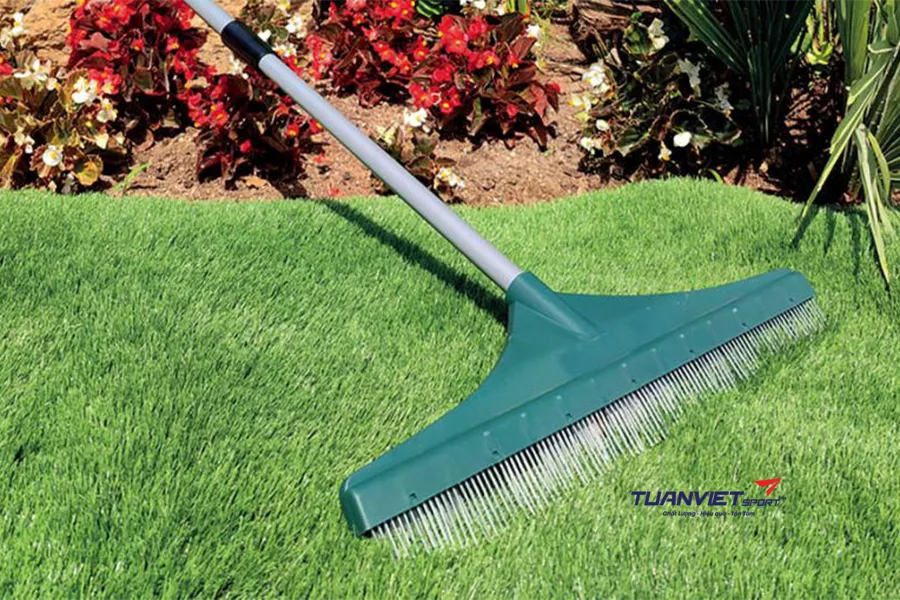 Cỏ nhân tạo bị héo do cửa kính phản chiếu nhiệt: nguyên nhân và cách khắc phục