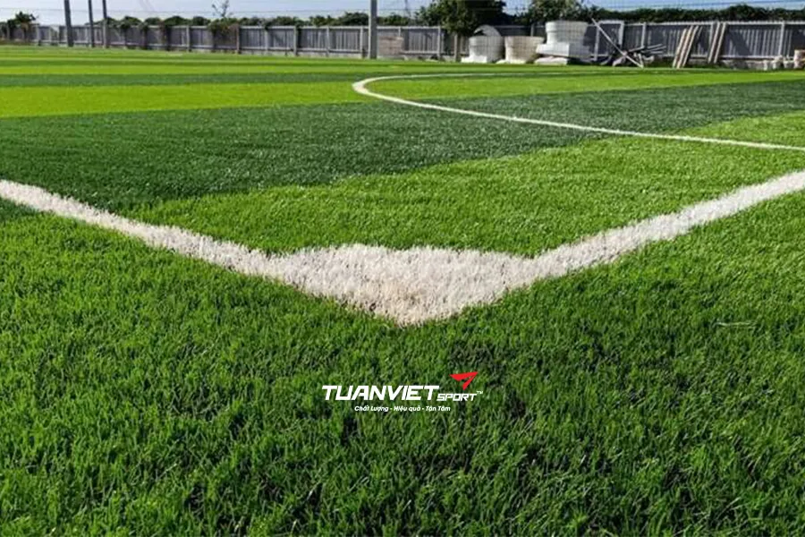 So s&aacute;nh s&acirc;n cỏ nh&acirc;n tạo v&agrave; cỏ tự nhi&ecirc;n n&ecirc;n chọn loại n&agrave;o?