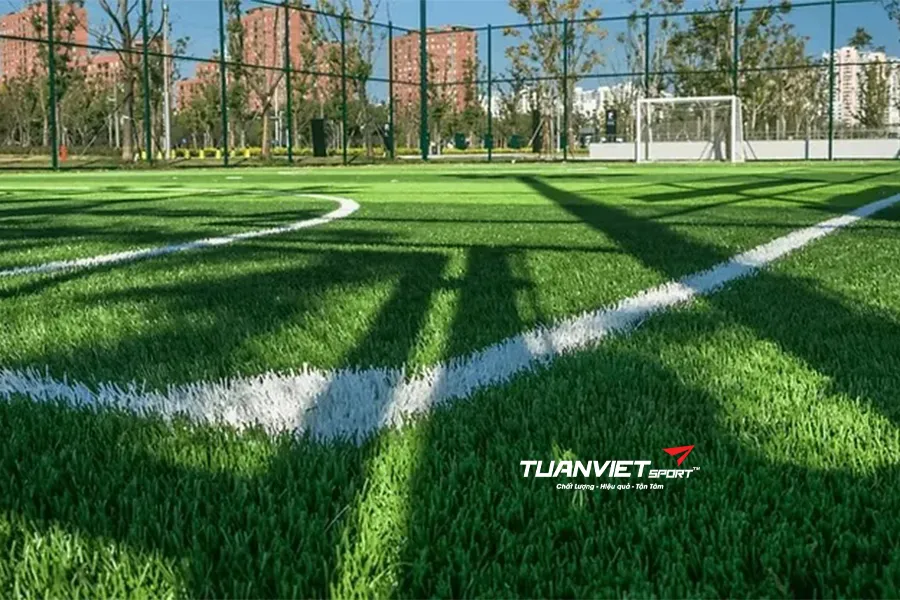 So s&aacute;nh s&acirc;n cỏ nh&acirc;n tạo v&agrave; cỏ tự nhi&ecirc;n n&ecirc;n chọn loại n&agrave;o?