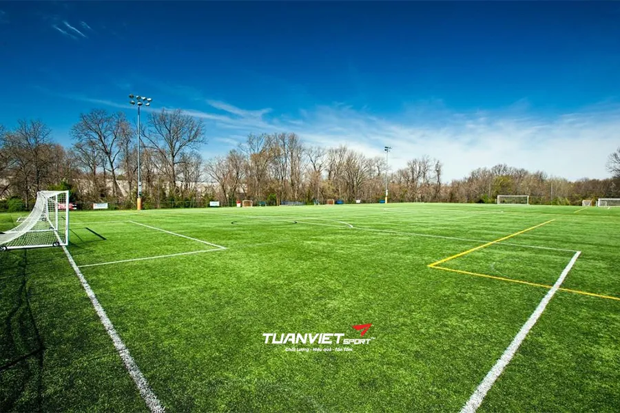 So s&aacute;nh s&acirc;n cỏ nh&acirc;n tạo v&agrave; cỏ tự nhi&ecirc;n n&ecirc;n chọn loại n&agrave;o?