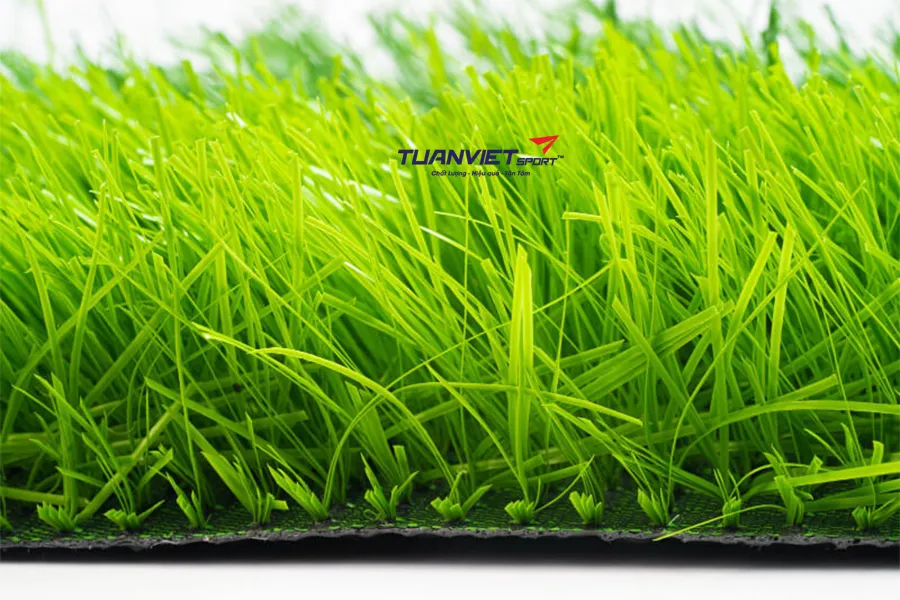 So s&aacute;nh s&acirc;n cỏ nh&acirc;n tạo v&agrave; cỏ tự nhi&ecirc;n n&ecirc;n chọn loại n&agrave;o?