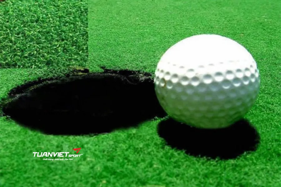 Ứng dụng của cỏ nhân tạo trong đời sống và những khu vực nên lắp đặt