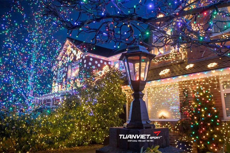 Biến sân cỏ nhân tạo thành khu vườn Noel lung linh chỉ với vài bước đơn giản