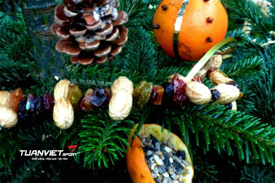 Biến sân cỏ nhân tạo thành khu vườn Noel lung linh chỉ với vài bước đơn giản