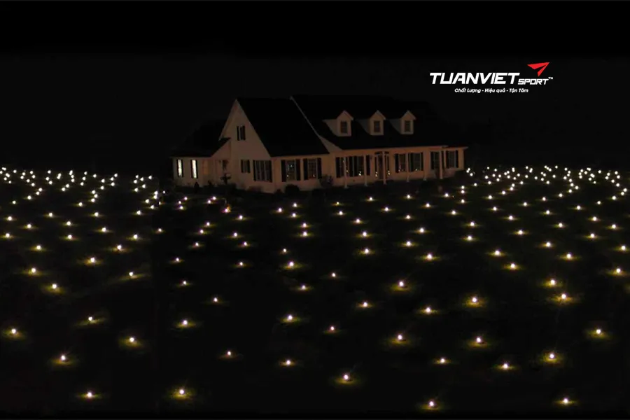 Biến sân vườn thành “đêm sao” lấp lánh với ánh sáng Noel trên nền cỏ nhân tạo