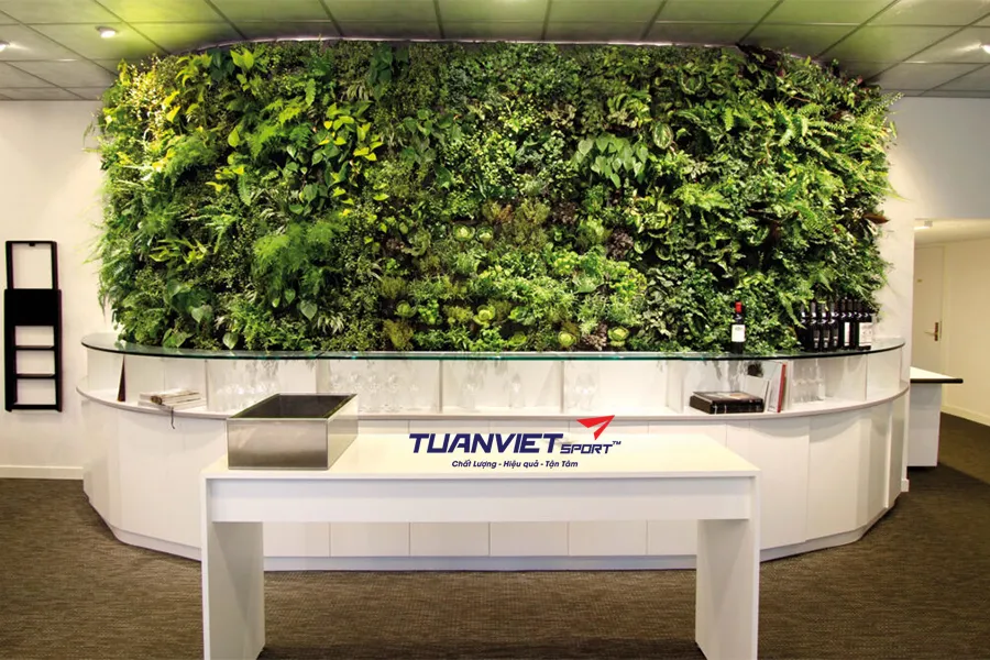 Cỏ nhân tạo văn phòng Noel: Ý tưởng trang trí khu vực lễ tân và bàn làm việc ấm áp, chuyên nghiệp