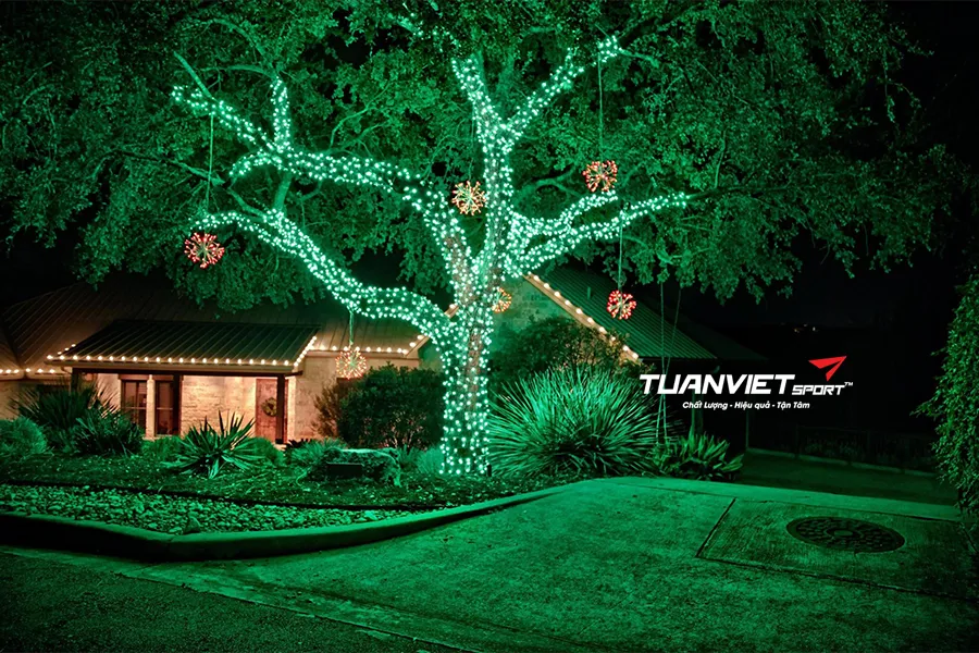 Lắp cảm biến đèn LED Noel trên nền cỏ nhân tạo