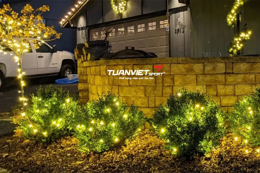 Lắp cảm biến đèn LED Noel trên nền cỏ nhân tạo