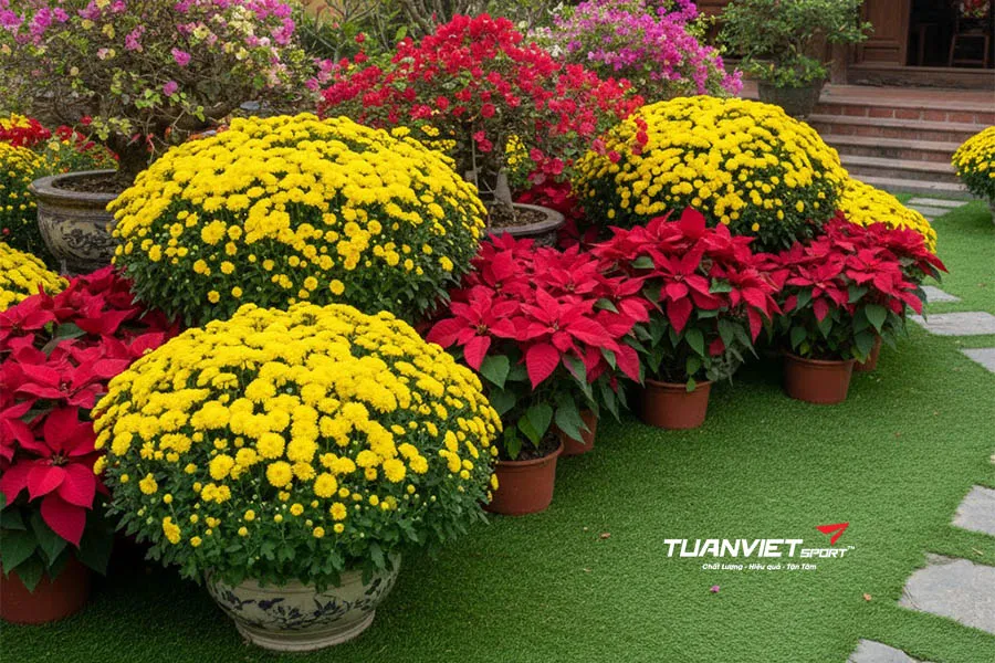 Top 15 &Yacute; Tưởng Trang Tr&iacute; S&acirc;n Vườn Đ&oacute;n Tết Bằng Cỏ Nh&acirc;n Tạo