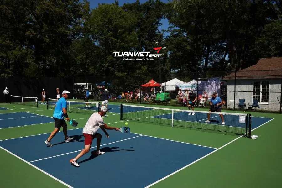 Giới thiệu chung về Pickleball