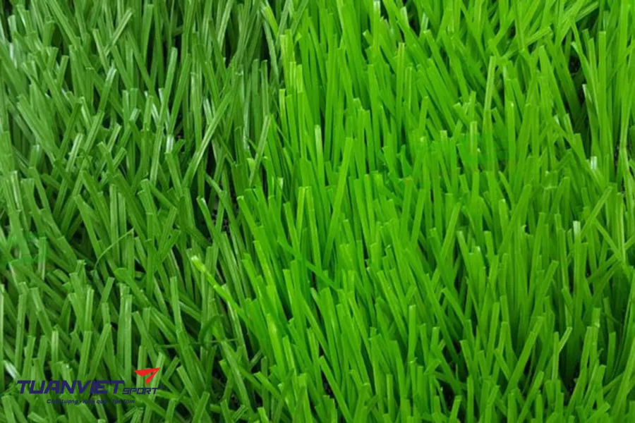 Các loại cỏ nhân tạo sân bóng đá phổ biến hiện nay