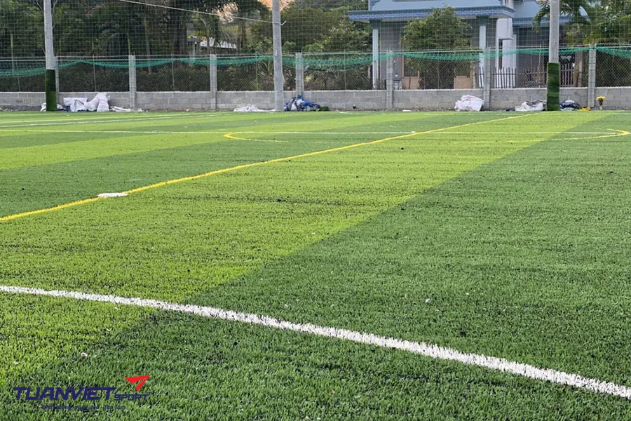 Các loại cỏ nhân tạo sân bóng đá phổ biến hiện nay