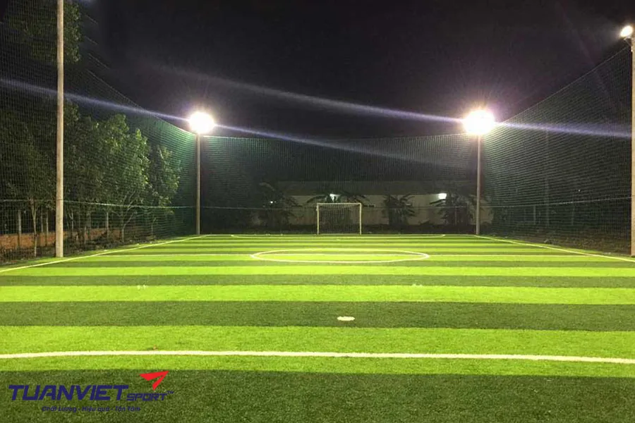 Các loại cỏ nhân tạo sân bóng đá phổ biến hiện nay