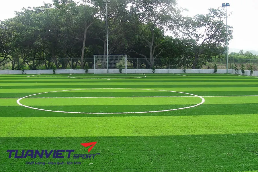 Các loại cỏ nhân tạo sân bóng đá phổ biến hiện nay