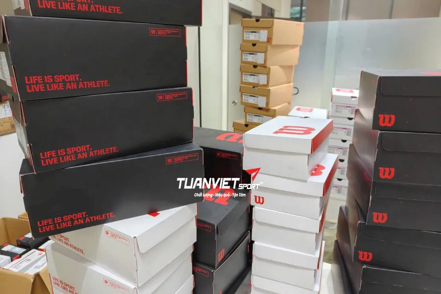 Mua Vợt Pickleball Wilson Tại Đà Nẵng - Giá Tốt, Hàng Chuẩn, Uy Tín