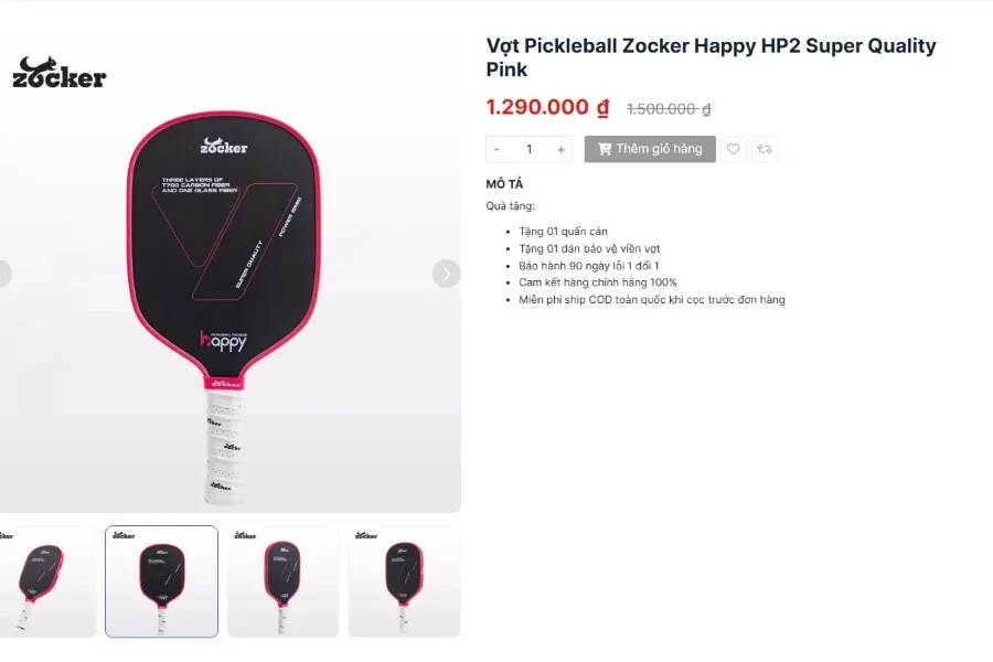 dụng cụ pickleball tầm trung