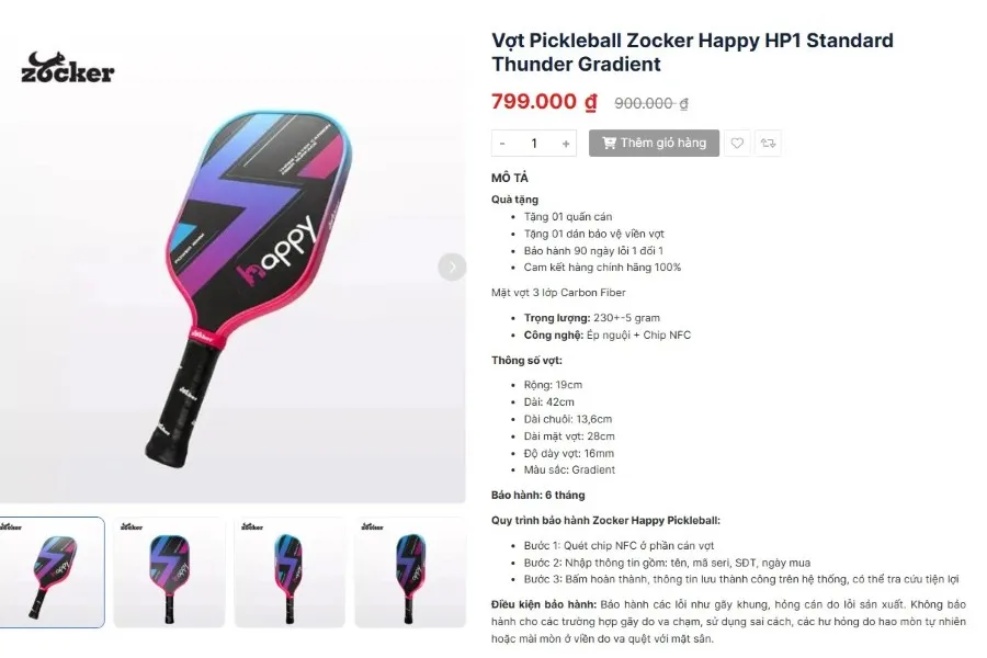 dụng cụ pickleball tầm trung