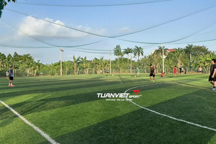 S&acirc;n b&oacute;ng đ&aacute; Anh Ba - S&acirc;n b&oacute;ng đ&aacute; tỉnh Đồng Th&aacute;p