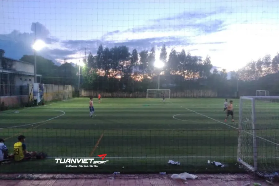 Danh sách sân bóng đá Gia Lai - Sân bóng đá nhân tạo Tấn Tài