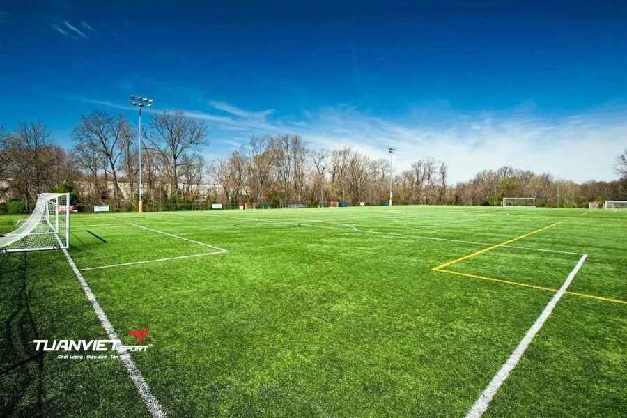 Danh sách sân bóng đá Gia Lai - Sân bóng Quang Linh