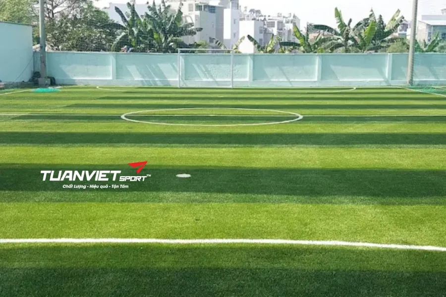 Sân bóng đá Trần Hưng Đạo - Sân bóng đá Thành phồ Hồ Chí Minh