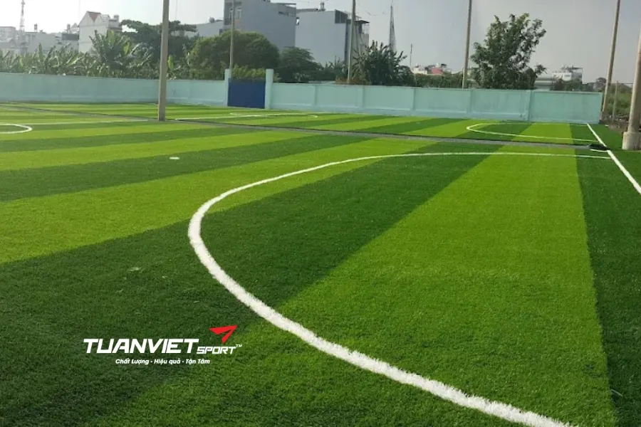 Sân bóng đá Trần Hưng Đạo - Sân bóng đá Thành phồ Hồ Chí Minh