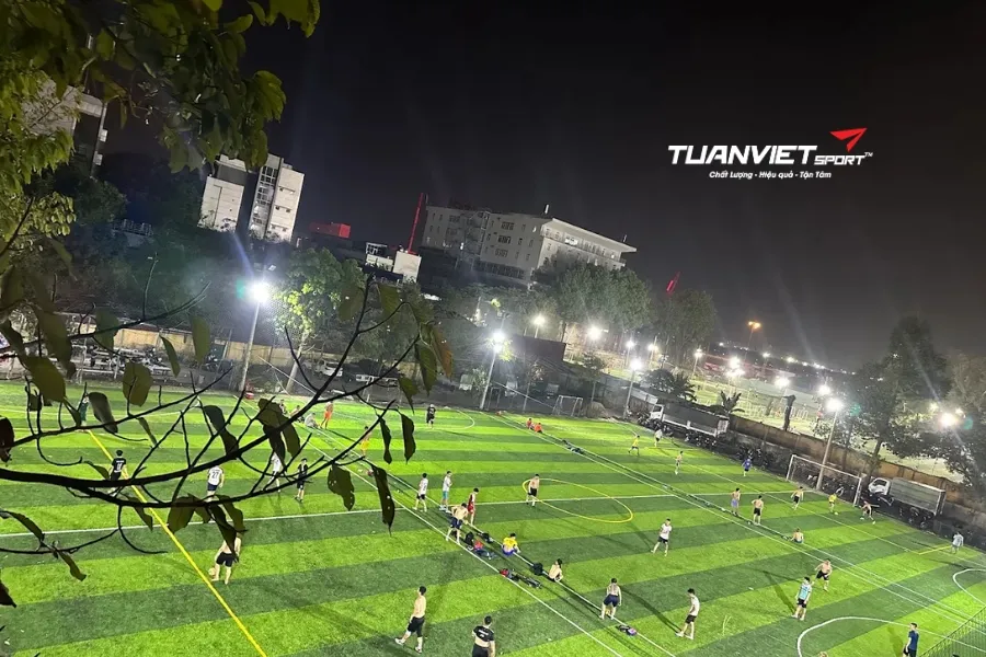 Sân bóng đá D36 - Sân bóng đá Thành phố Hồ Chí Minh