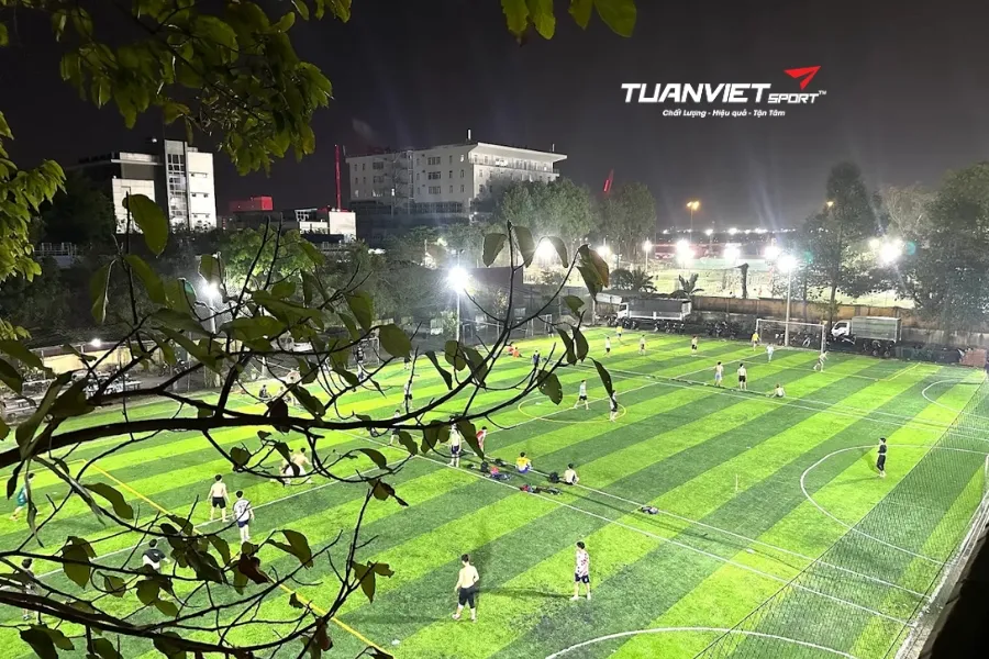 Sân bóng đá D36 - Sân bóng đá Thành phố Hồ Chí Minh