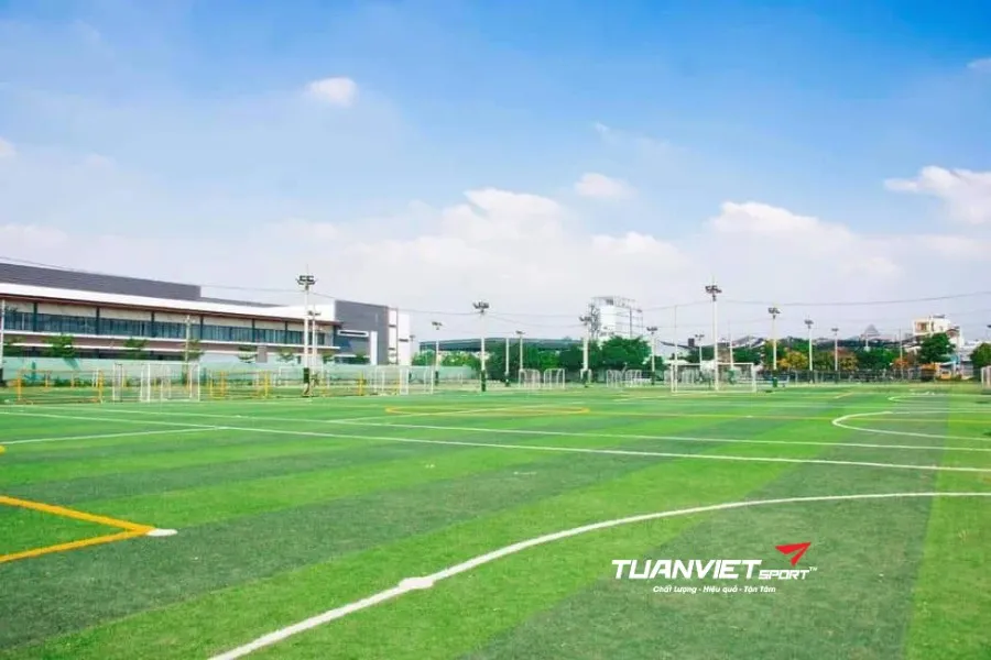 Sân bóng đá Celadon - Sân bóng đá Thành phố Hồ Chí Minh