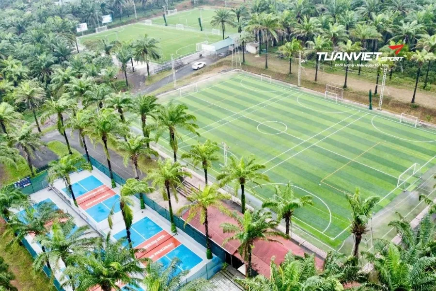 S&acirc;n b&oacute;ng đ&aacute; Duy Đan - S&acirc;n b&oacute;ng đ&aacute; tỉnh Quảng Trị