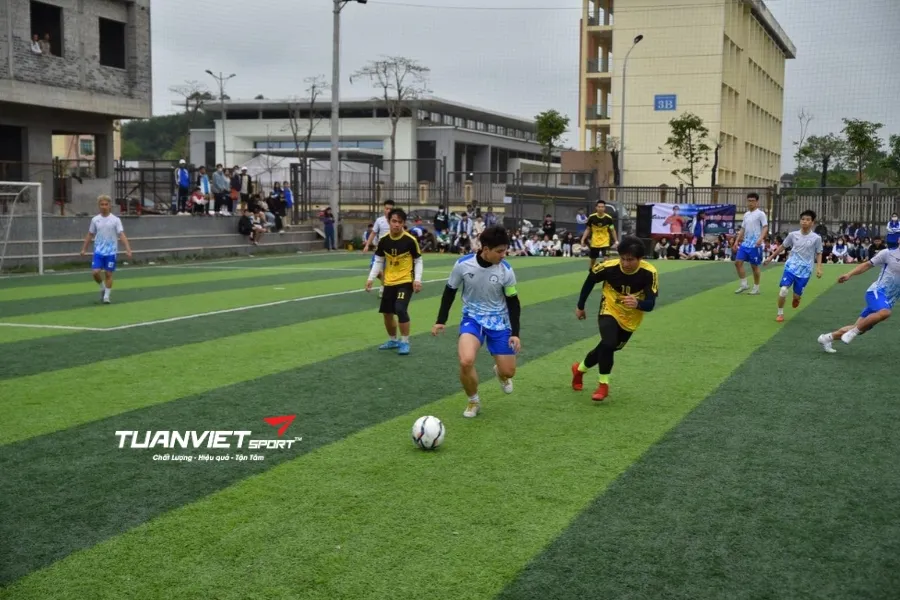 S&acirc;n b&oacute;ng đ&aacute; Trường Đại học Khoa học - S&acirc;n b&oacute;ng đ&aacute; tỉnh Th&aacute;i Nguy&ecirc;n