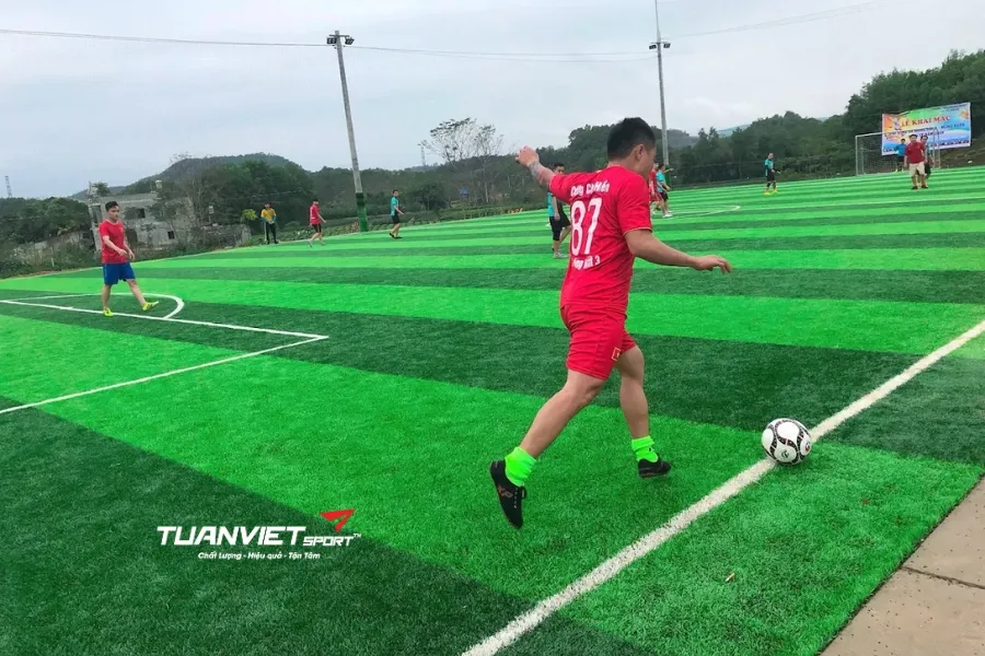 S&acirc;n b&oacute;ng đ&aacute; Vũ H&agrave; - S&acirc;n b&oacute;ng đ&aacute; tỉnh Th&aacute;i Nguy&ecirc;n