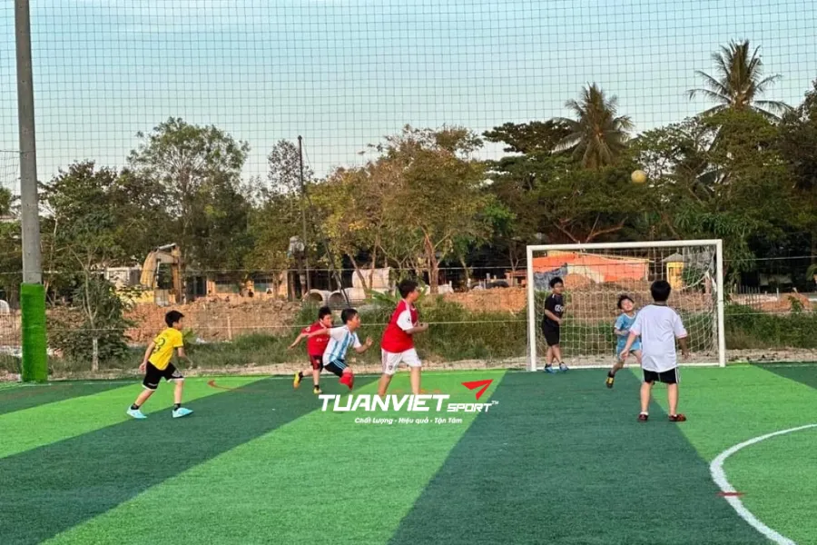 S&acirc;n b&oacute;ng đ&aacute; mini Linh Kh&ocirc;i