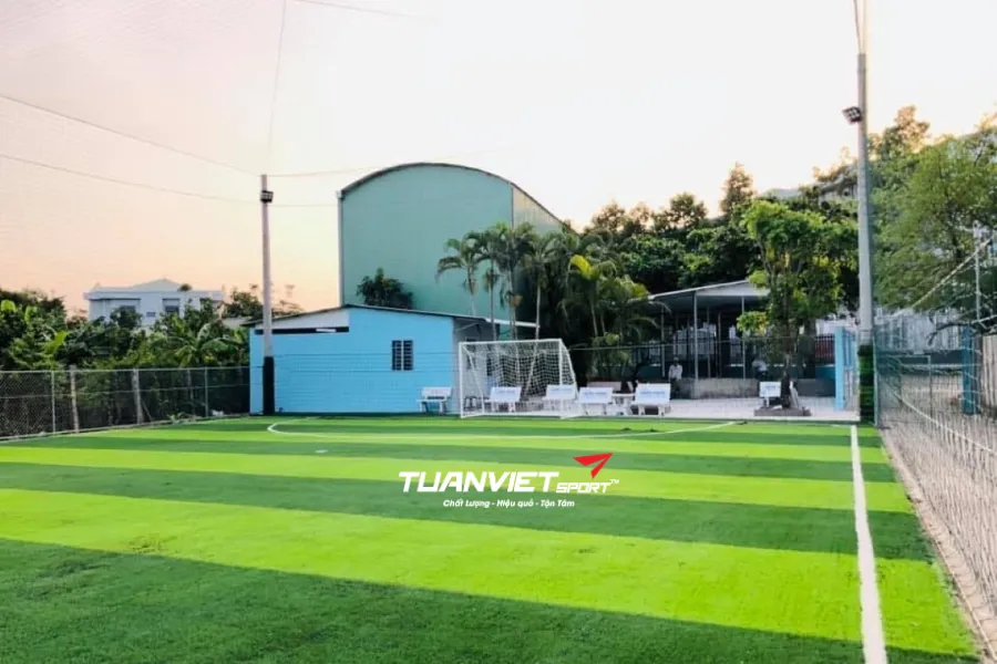 S&acirc;n b&oacute;ng đ&aacute; mini Vi Ph&aacute;t