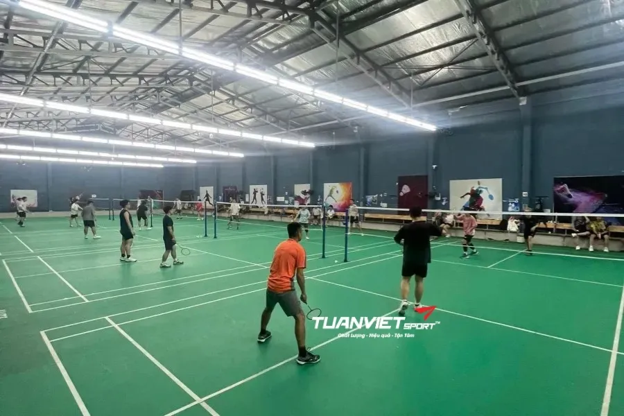 CLB cầu lông Bingo - Sân cầu lông Quận Bình Tân