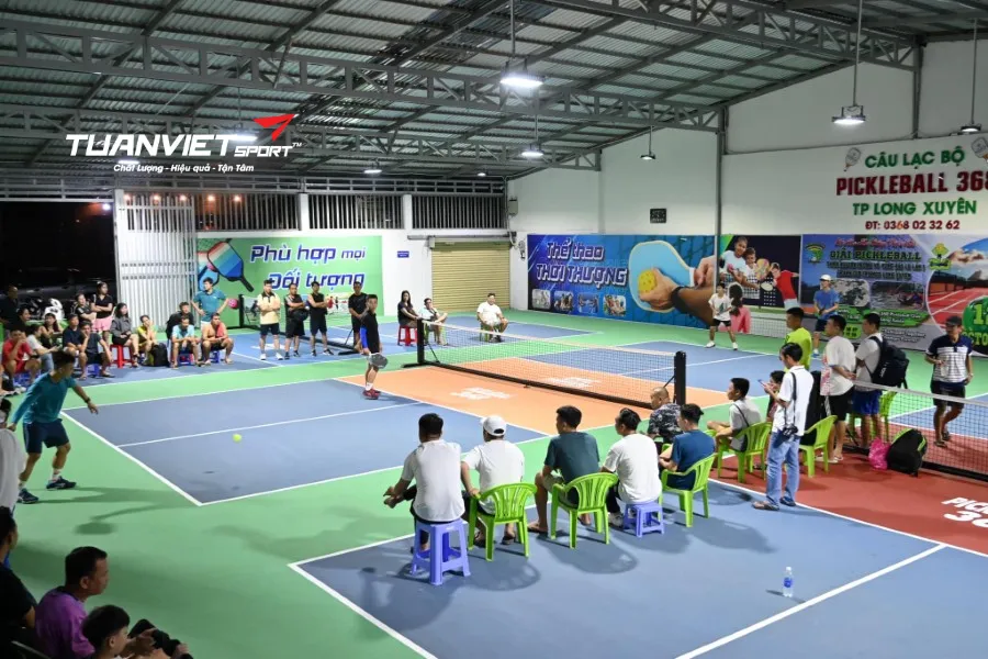S&acirc;n Pickleball 368 - S&acirc;n pickleball tỉnh An Giang