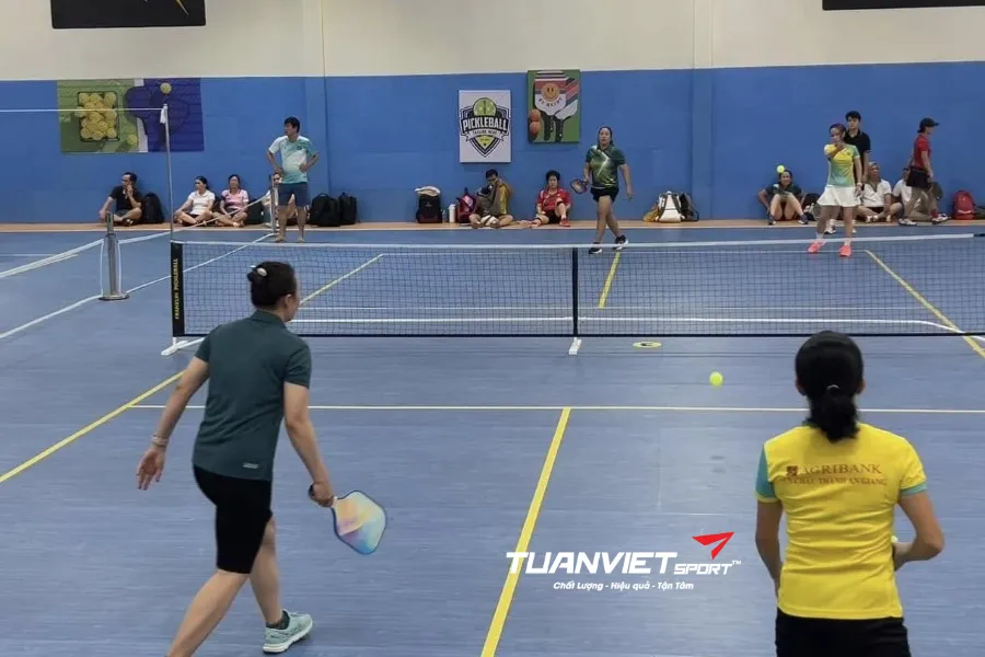 S&acirc;n Pickleball Gold Sta - S&acirc;n pickleball tỉnh An Giang