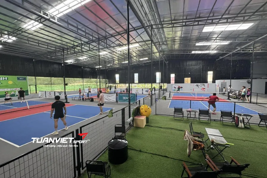 Sân Pickleball Củ Hành - Sân pickleball tỉnh Cà Mau