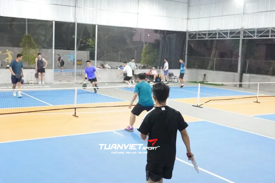 Sân Pickleball 369