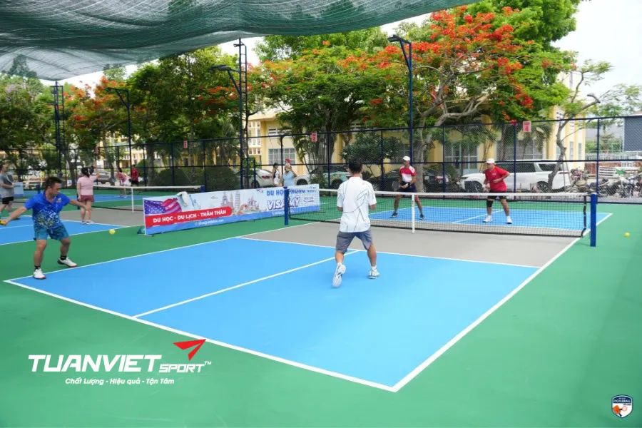 S&acirc;n Pickleball Tiền Giang - S&acirc;n Pickleball tỉnh Tiền Giang