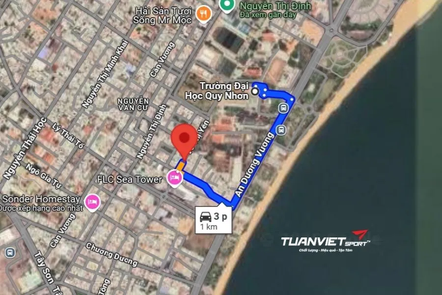 S&acirc;n Pickleball Quy Nhơn Center - S&acirc;n pickleball tỉnh B&igrave;nh Định 