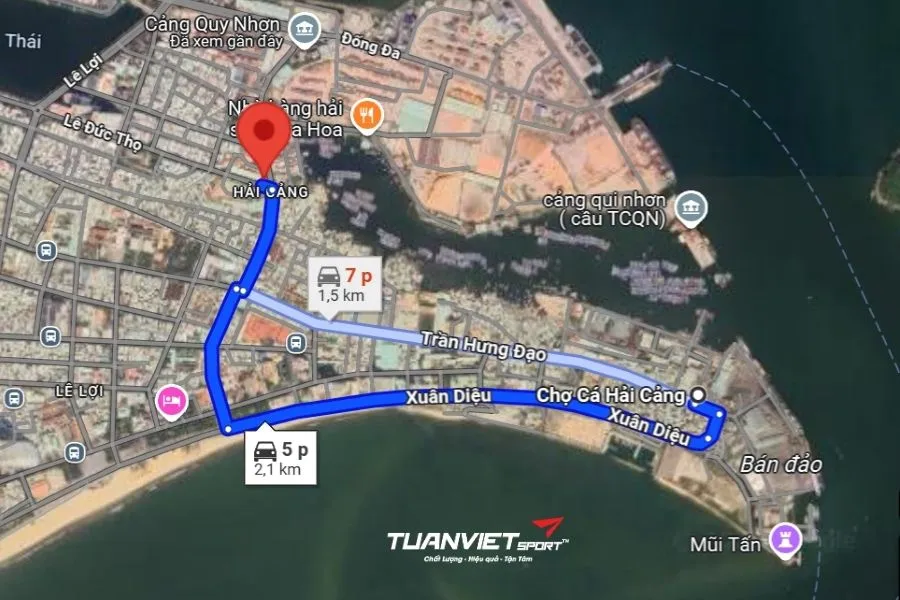 S&acirc;n Pickleball Friends Club - S&acirc;n pickleball tỉnh B&igrave;nh Định 