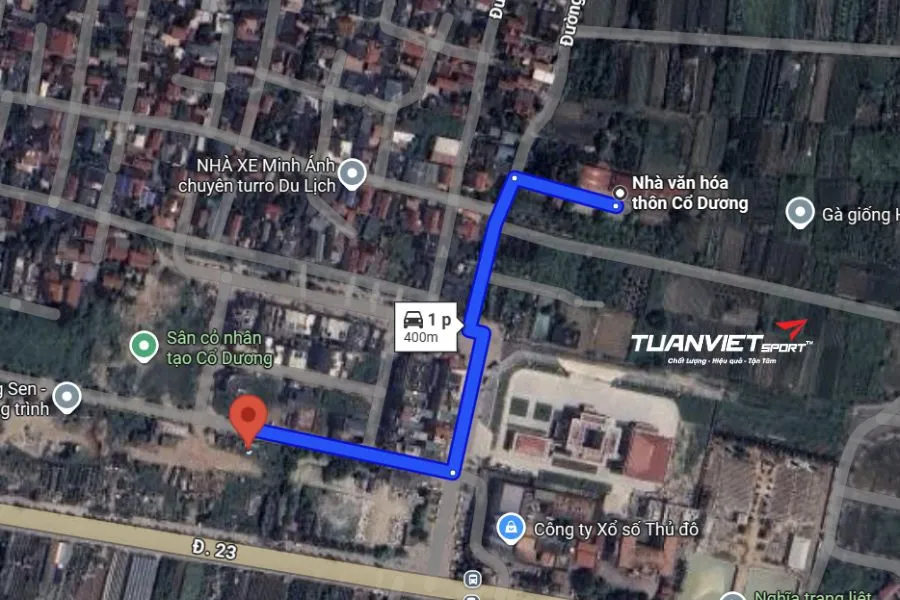 Sân pickleball Cổ Dương - Sân pickleball Huyện Đông Anh