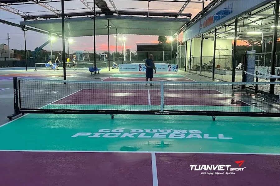 Sân pickleball Cổ Dương - Sân pickleball Huyện Đông Anh