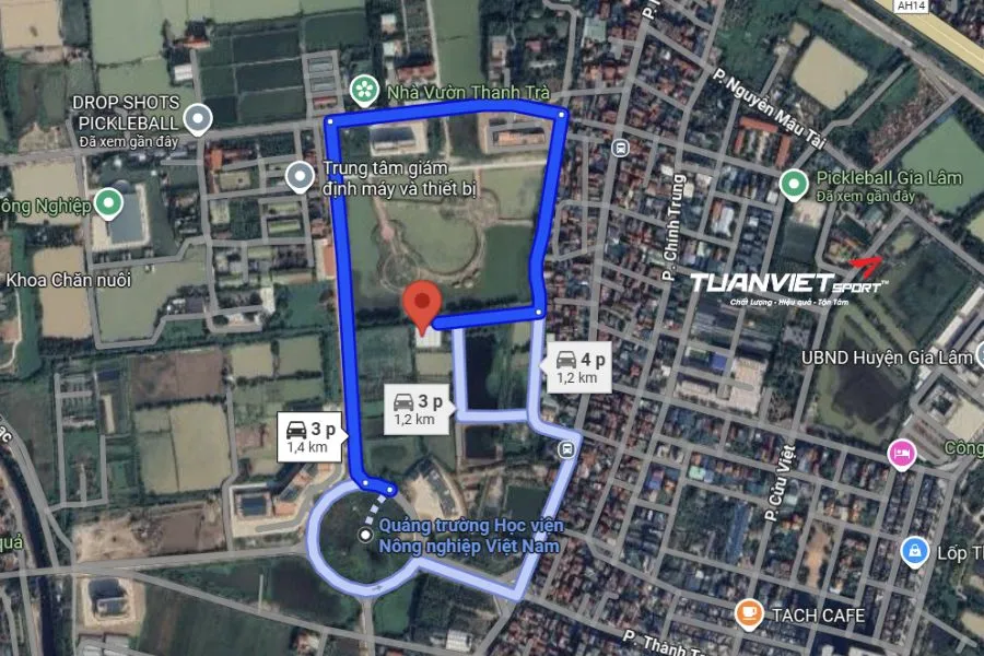 Sân Pickleball Lotus - Sân pickleball Huyện Gia Lâm