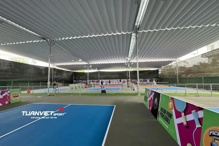 Sân Pickleball Daily Ocean Park - Sân pickleball Huyện Gia Lâm