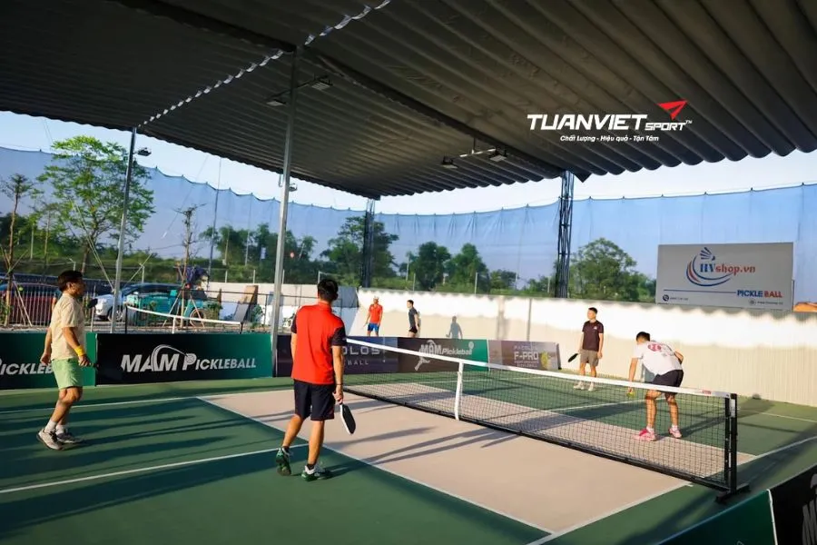 Sân Pickleball Mầm - Sân pickleball Quận Long Biên