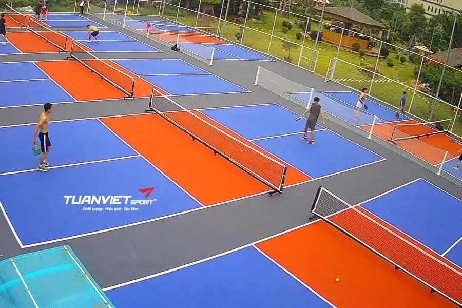 Sân Pickleball Win - Sân pickleball Quận Nam Từ Liêm